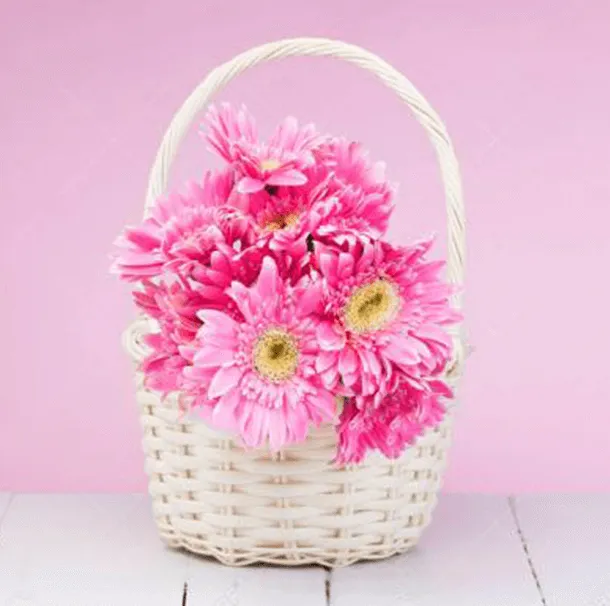 Baskets