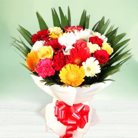 Gerbera