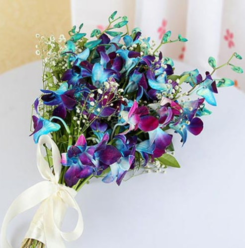 Blue or Purple Orchids