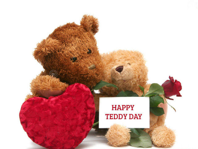 Teddy Day