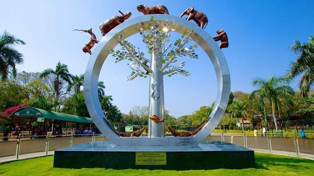 Picnic Zoo in Hyderabad