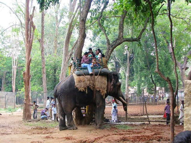 bannerghatta nationalpark