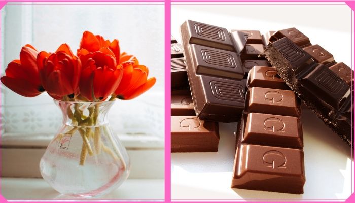 Flowers With Chocolate