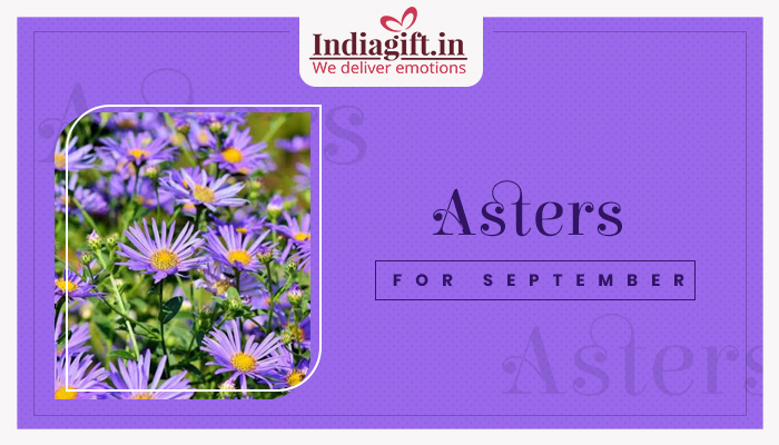 Asters