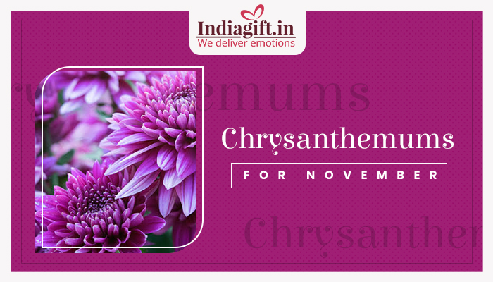 Chrysanthemums