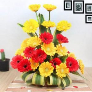 Gerbera Arrangement Flowers