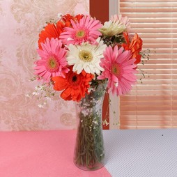 Mixed Gerbera Vase