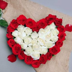 Red and White Roses Heart