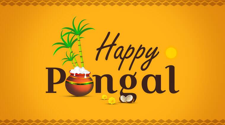 Pongal Festival