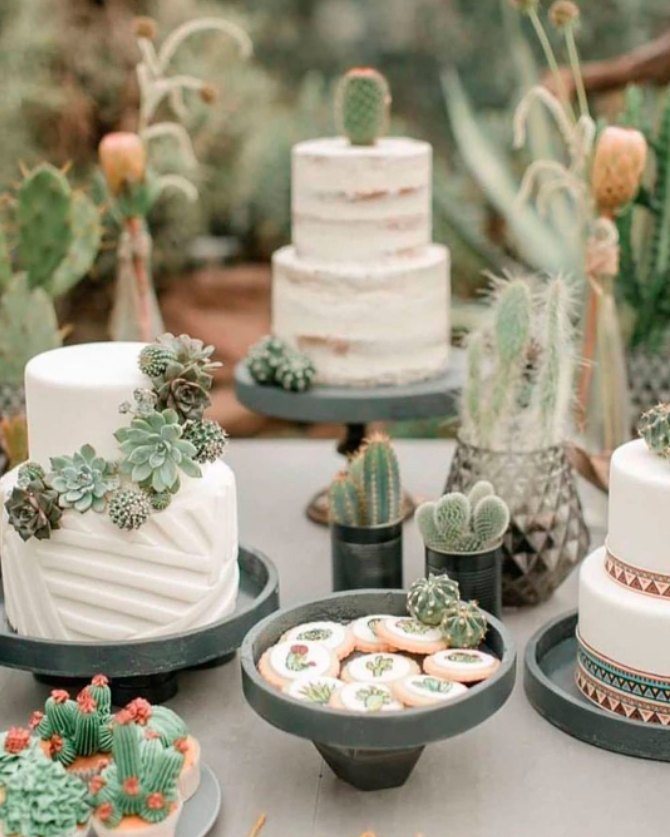 Pair your cake with Potted plants