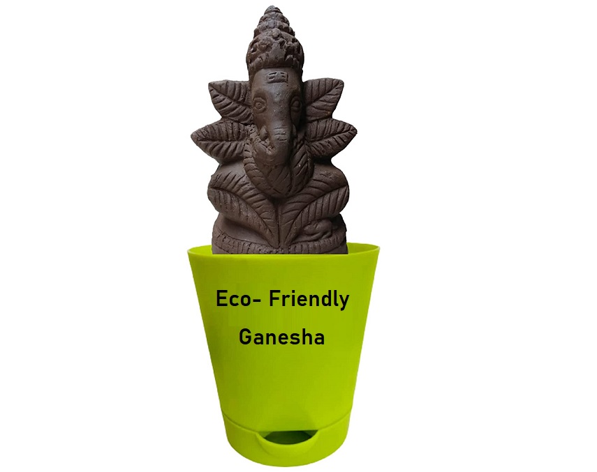 Ganesha plant