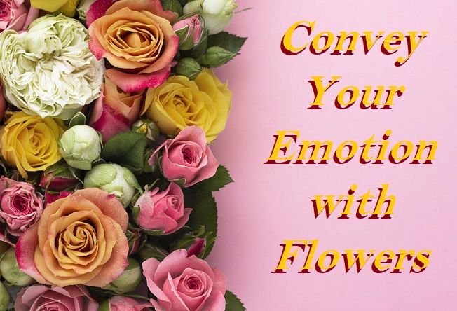 Flowers for any occasion