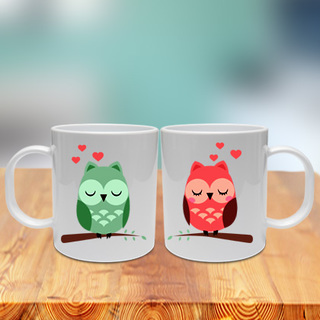 Owls in Love Couple Mug