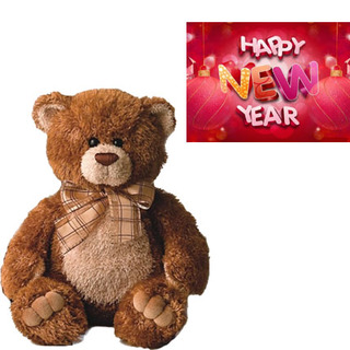 Teddy With New Year Card