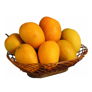 Mango (Alphonso)