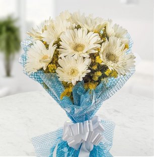 White Gerbera Bouquet