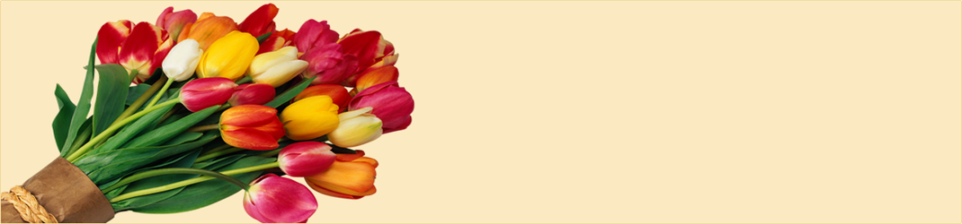 Flowers gifts online Flowers gifts online