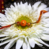 Om Orange Rakhi