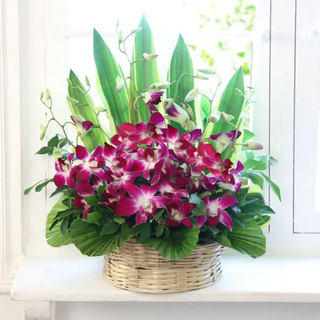 Lovely Orchids Basket