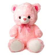 Valentine Pink Teddy