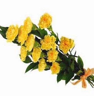 Yellow Carnation Large Bouquet