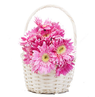 Pink Gerbera Basket