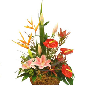 Anthurium, BOP & Lily Basket