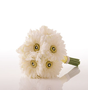 White Gerbera Bouquet