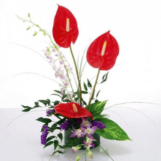 Anthurium & Orchids Vase