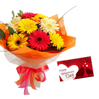 Valentine Mixed Gerberas and Card