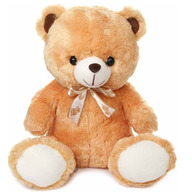 Valentine Teddy Bear Large