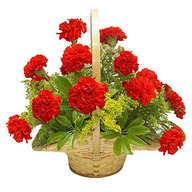 Valentine Red Carnation Basket
