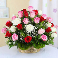 Valentine 50 Mixed Roses Basket
