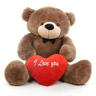 Valentine Teddy Bear with Heart