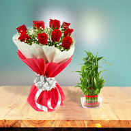 Lucky Bamboo Plant + Roses Combo