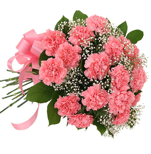 Pink Carnation Bouquet