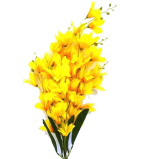 Yellow Orchid Bunch