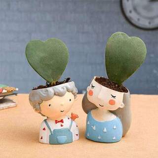 Cute Couple with Heart Shape Hoya Plant