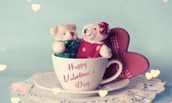 5 Tips for Lovers on How to Celebrate Valentine’s day 5 Tips for Lovers on How to Celebrate Valentine’s day