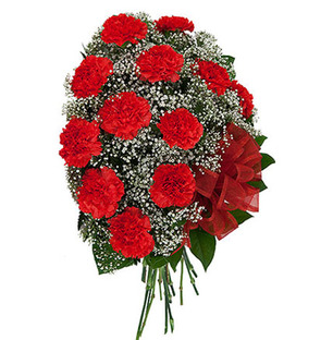 Valentine Red Carnation Bouquet