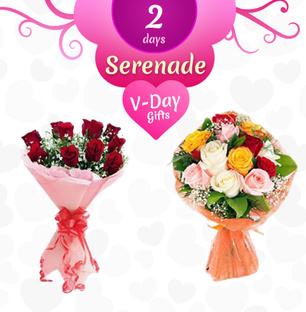 Valentine 2 Day Serenade