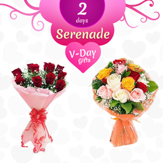 Valentine 2 Day Serenade
