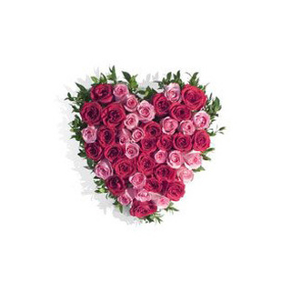 Red & Pink Roses Heart