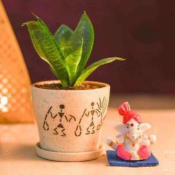 Sansevieria Plant in Decorative Ceramic Pot with Lord Ganesha Idol