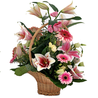Pink Lily & Gerbera in a Basket