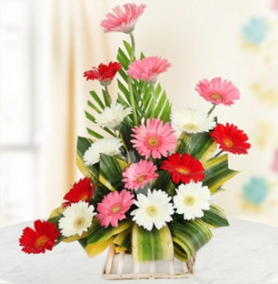 Mix Gerbera Arrangement