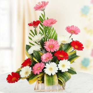 Mix Gerbera Arrangement