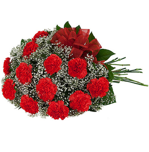 Carnation Bouquet