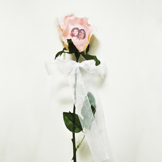 Peach Rose with Photo
