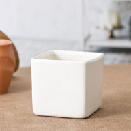 Square Box Ceramic Pot (White)